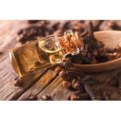 Clove Bud Oil